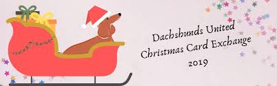 The 2020 christmas card exchange is happening! Closed Sign Up For The Christmas Card Exchange 2019 Dachshunds United