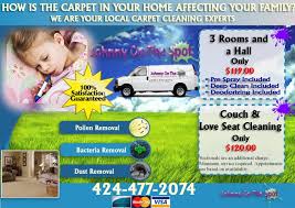 palos verdes best carpet cleaner 424