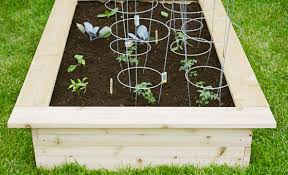 Build Your Own Spring Garden Box