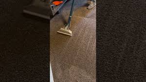 carpet cleaning bakersfield central