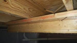 Crawl Space Mold Removal Treatment