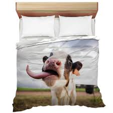 cow comforters duvets sheets sets