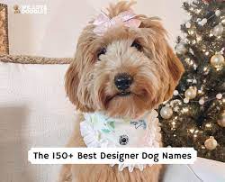 the 160 best designer dog names 2023