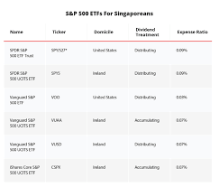 the dbs guide to investing in the s p 500