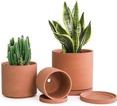 prevent s in your terracotta pots