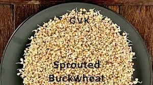 sprouted toasted buckwheat the world s