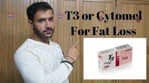 This hair loss is usually temporary. T3 Or Cytomel For Fast Fat Loss Youtube