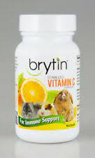 Guinea pig vitamin c supplements, free shipping & low prices, shop now! Brytin C Stabilized Vitamin C Supplement Pet Guinea Pig Rabbit Chinchilla 90ct For Sale Online Ebay