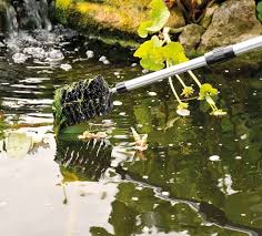 string algae removal brush pond h2o