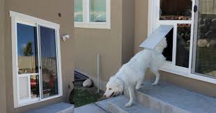 Homemade Diy Dog Door Plans For Canine