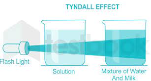 solved tyndall effect is a phenomenon of