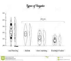 Set Of Different Kayak Types In Comparison Stock Vector