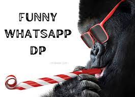 50 hilarious funny whatsapp dp to make