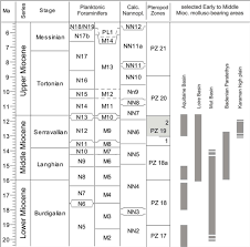 M Iocene Stratigraphy And Biostratigraphy Modified From A
