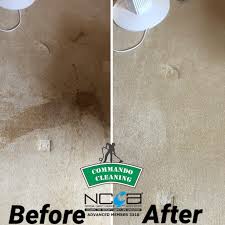 professional carpet cleaning covering