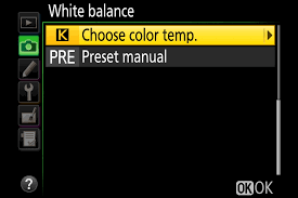 Understanding White Balance A Beginners Guide