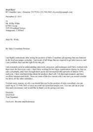 Best Consultant Cover Letter Examples   LiveCareer Director of Operations Cover Letter