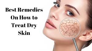 dry skin with large pores the complete
