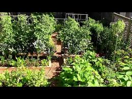 Grow A Lot Of Food In A Small Garden