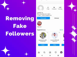 remove fake followers and clean