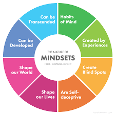 The Nature Of Mindsets Benefit Mindset Medium