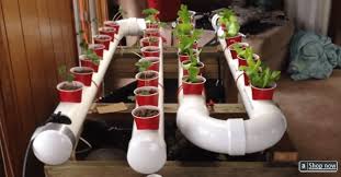 build a diy pvc hydroponic garden
