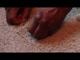 professional carpet repairs melbourne fl