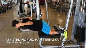 lat pull down nordic hamstring curl