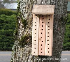 A bee garden, you say?! Diy Mason Bee House Archives City Girl Farming Sustainable Living For Regular People