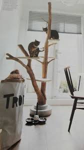 Not even half of the price.i already had all of the things needed to ma… Astounding 15 Things To Avoid In Building A Custom Cat Tree Https Meowlogy Com 2019 01 04 15 Things To Avoid In Custom Cat Trees Diy Cat Tree Modern Cat Tree