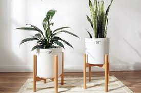 28 best gifts for plant of 2023