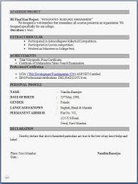 Resume Format Pdf For Freshers Latest Professional Resume Formats In