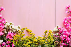 hd wallpaper flowers background pink