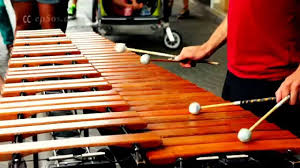 I am assuming they are called mestizos a mixed native american and spaniard race most of latin america is this. Magic Marimba Music In Europe Youtube