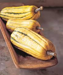 how to cook delicata squash using our