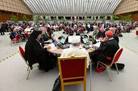 El Sínodo es un camino con el Espíritu Santo: Papa Francisco en la primera  sesión de la Asamblea Sinodal - Paz Estereo FM 88.8