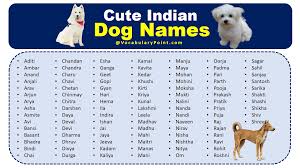 cute indian dog names voary point