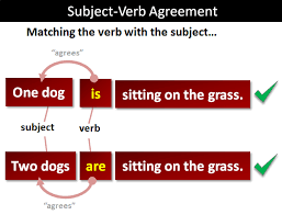Some nouns, describing groups of people, can take a singular or plural verb: Subject Verb Agreement