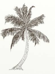 Tropic paradise island landscape summer lettering design one sketch outline drawing vector illustration single continuous line art coconut tree palm. Image Result For Pencil Drawings Of Palm Trees Coconut Tree Drawing Tree Drawing Tree Painting Easy