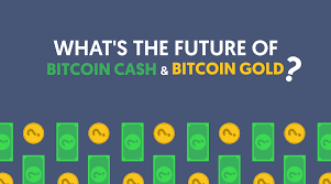 By buying and selling bitcoin futures contracts, investors can speculate on the future value of bitcoin without ever having to actually own the asset. What S The Future Of Bitcoin Cash Bitcoin Gold