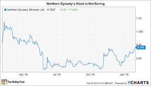 Why Northern Dynasty Minerals Stock Rocketed 37 In January