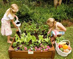 Grow Your Own Vegetables With Kids