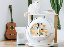 From clumping to unscented, options. 8 Best Self Cleaning Cat Litter Boxes 2020 Petree Litter Boxes