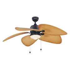 ceiling fan with light kit