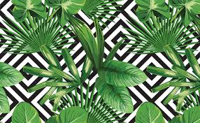 green palm tree tropical wallpaper