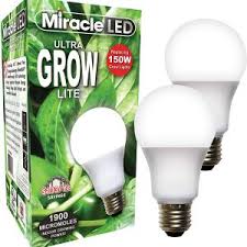 Category Plant Growing Light Bulbs