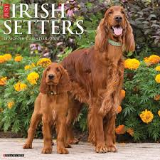 irish setter dog lover gifts apparel