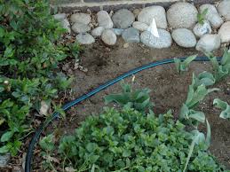 A wide there are 303 suppliers who sells drip irrigation sprinkler heads on alibaba.com, mainly located in asia. How To Install A Drip Irrigation System How Tos Diy
