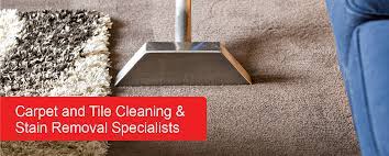 carpet cleaning experts in dunedin