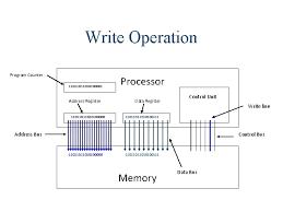 It also controls the transmission between processor, memory and the various peripherals. Computing Science Software Design And Development Computer Architecture
